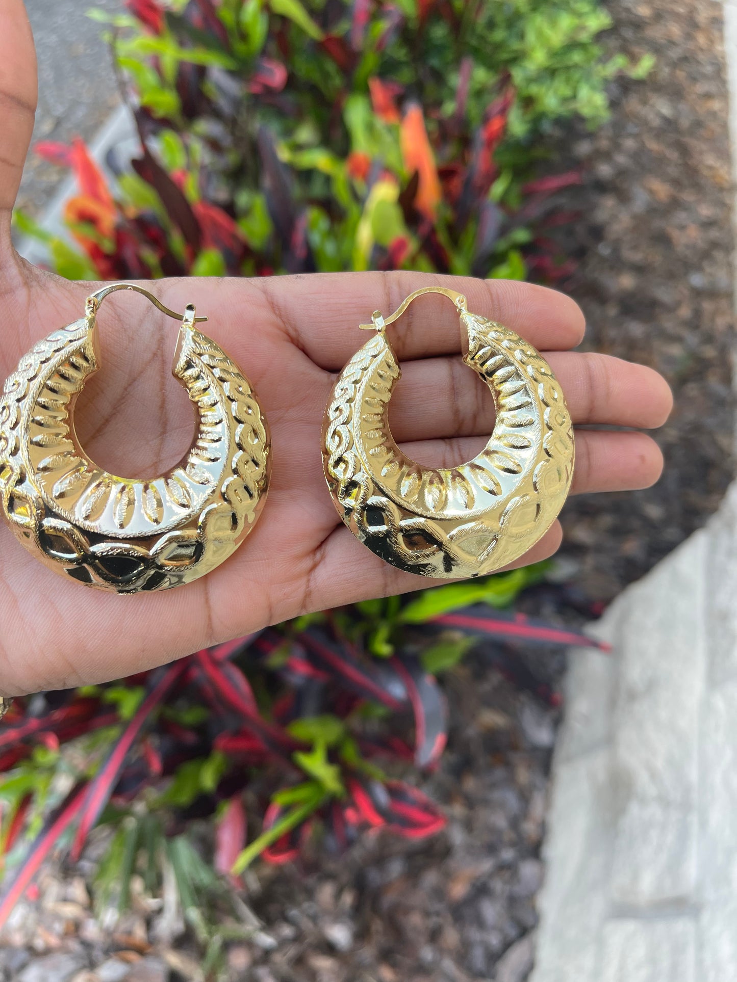 Earrings ….P